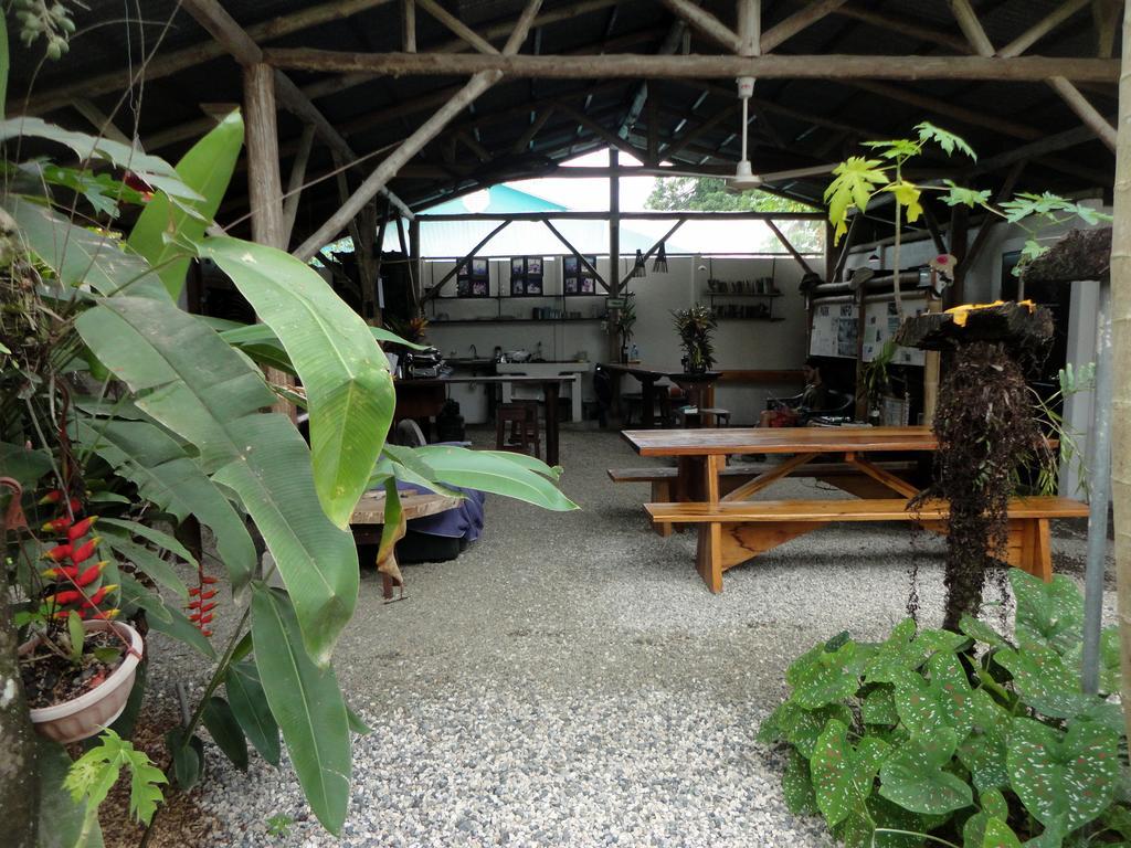 Cabinas Tropicales Puerto Jimenez Bagian luar foto