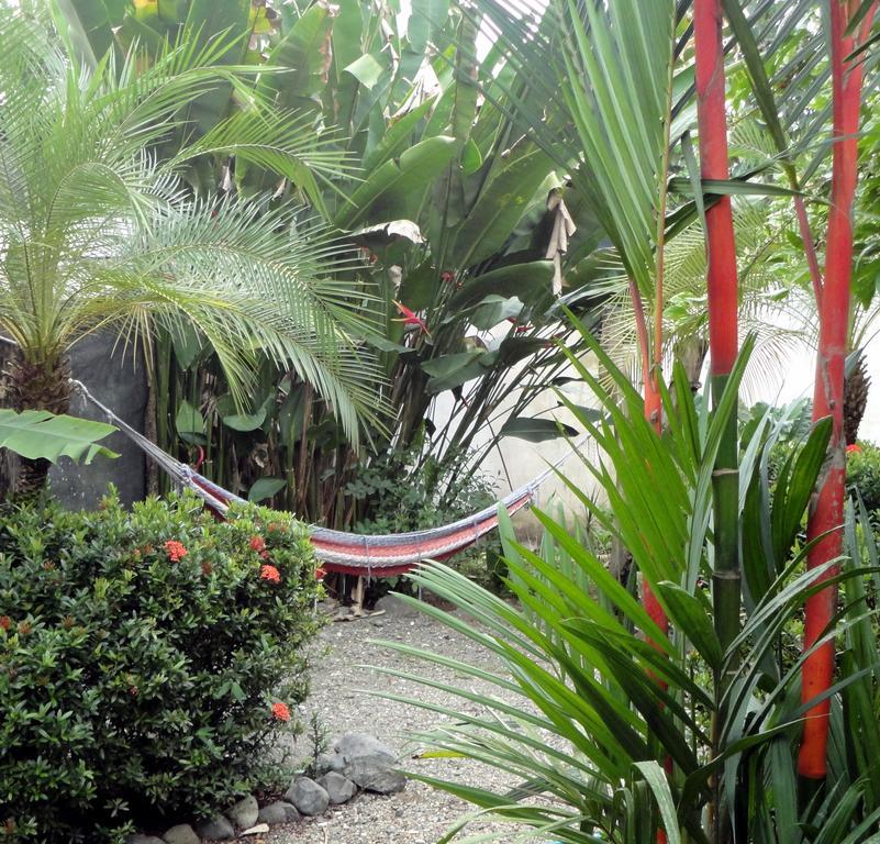 Cabinas Tropicales Puerto Jimenez Bagian luar foto
