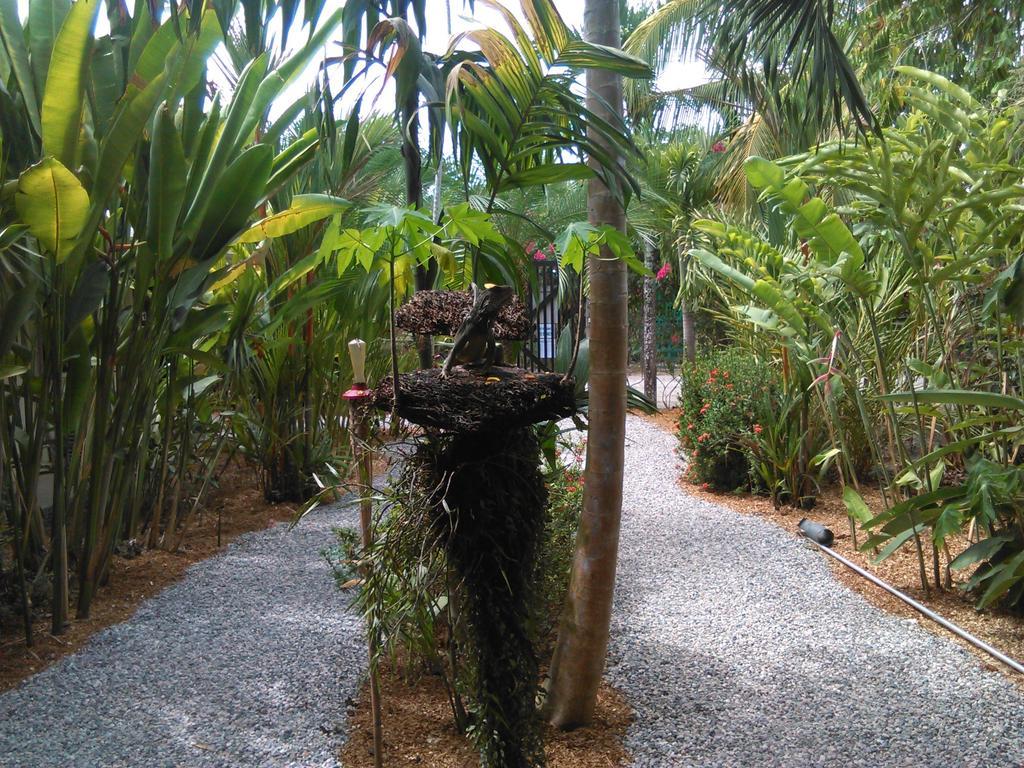 Cabinas Tropicales Puerto Jimenez Ruang foto