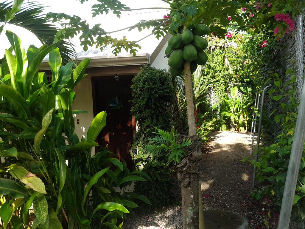 Cabinas Tropicales Puerto Jimenez Bagian luar foto