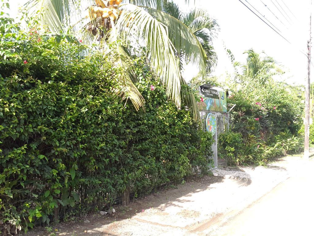 Cabinas Tropicales Puerto Jimenez Bagian luar foto